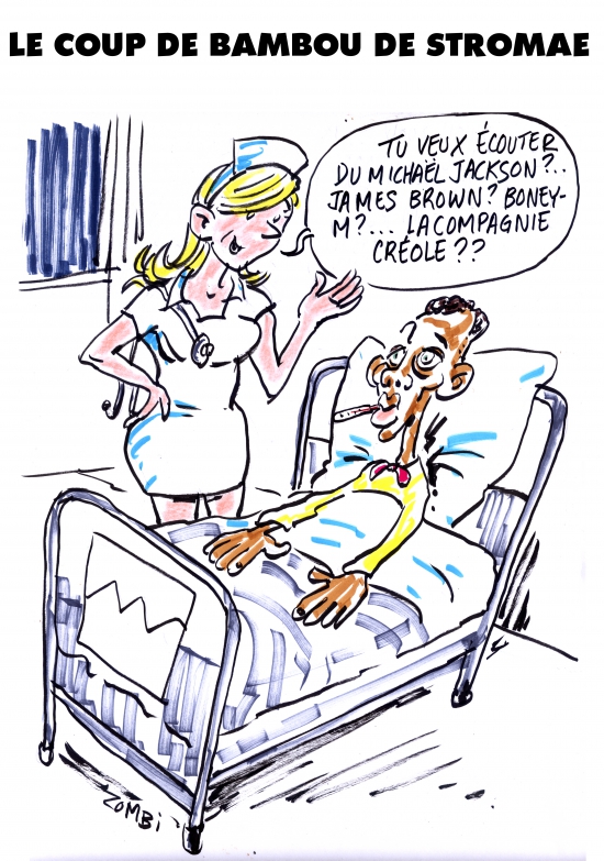 webzine,bd,zébra,fanzine,bande-dessinée,caricature,stromae,hospitalisé,james brown,michael jackson,boney m,compagnie créole,dessin,presse,satirique,zombi