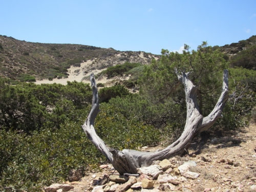 voyage, camping-car,crete