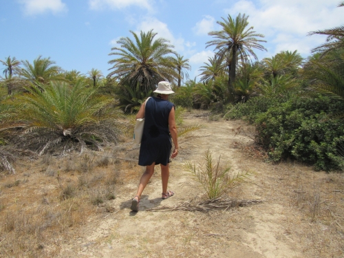 voyage,camping-car,crete