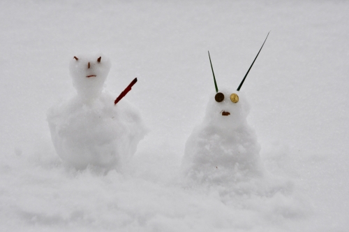 autoportraits-en-neige.jpg