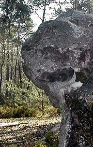 art visionnaire,poésie naturelle,rochers sculptés,roche de la chouette,forêt de fontainebleau,cartes postales insolites,abbé fouré,rené alleau