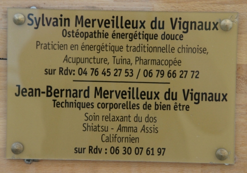 Merveilleux-acupuncture,-AllevardlesBains,-2013.jpg