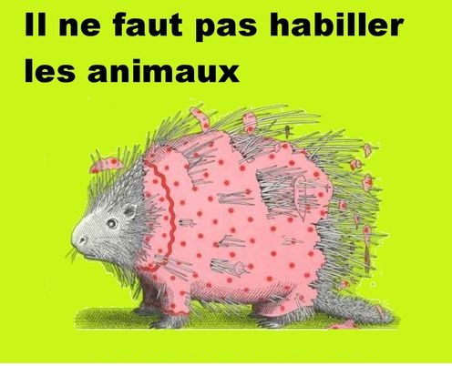 il_ne_faut_pas_habiller les animaux. 2jpg.jpg