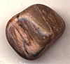 Petrified Wood Polished