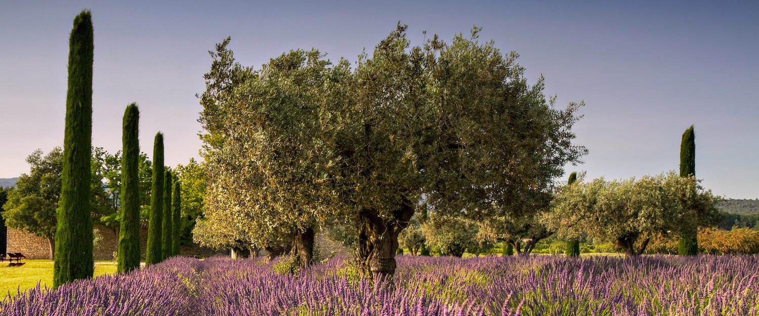 The French countryside