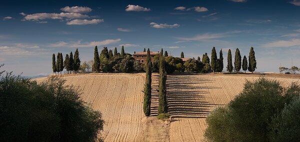 Barns