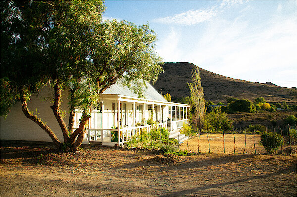 Bed & Breakfasts in Tenerife