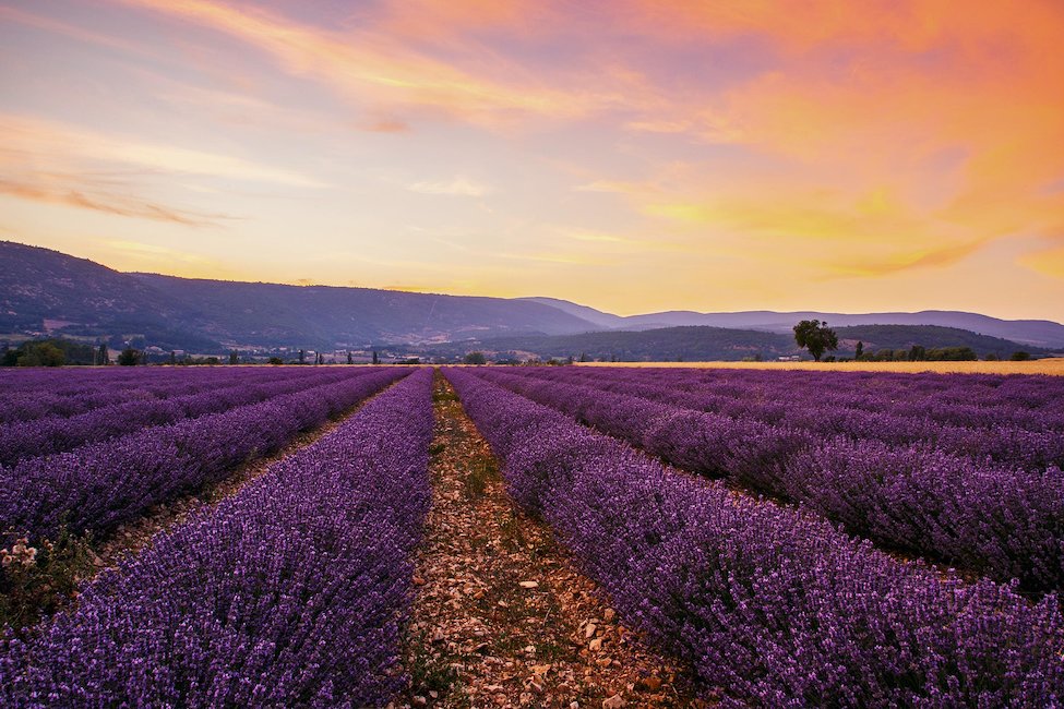 Villas in Provence