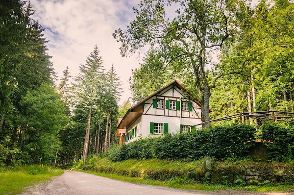 Black Forest - Holiday Homes & Rentals