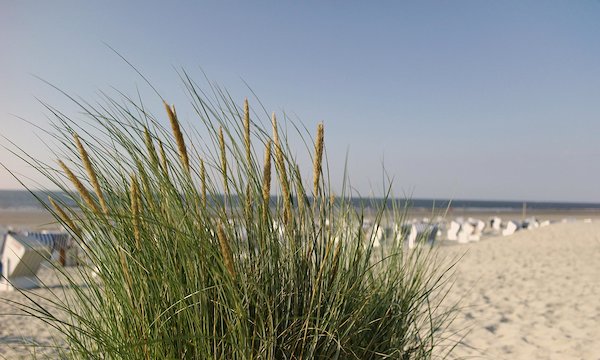 Norderney - Vacation Rentals & Apartments