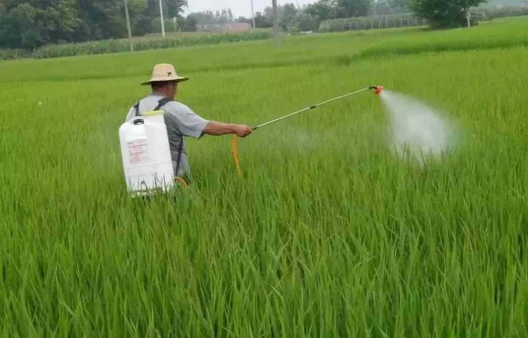 Why use foliar fertilizer?