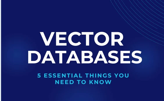 Infographic-Vector-Database-Essentials