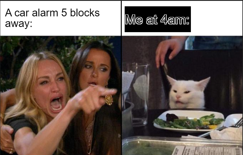 The woman yelling at the cat meme template example