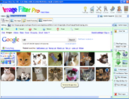 Image Browser