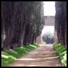 Pathway at Villa Adriana