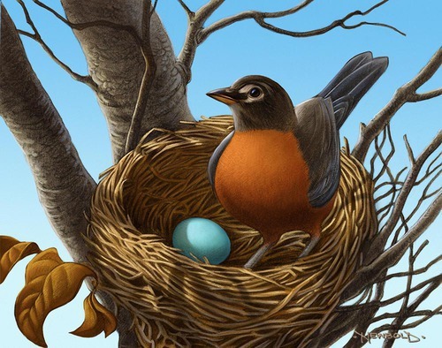 Greg Newbold - Egg Book