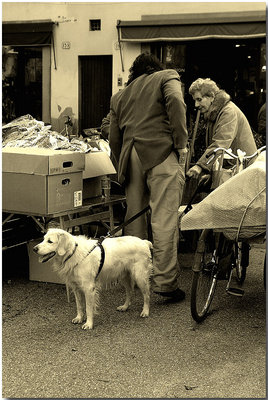 street..io non ci passo...