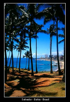 A Beautiful day in Salvador - Brazil