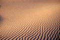 Picture Title - Lines in desert ...