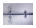 Picture Title - reflected | silence | vol. 2 -