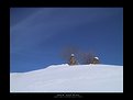 Picture Title - snow and blue