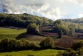 Picture Title - Tuscany Hills