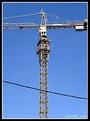 Picture Title - Crane