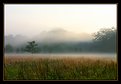 Picture Title - Misty morning #3