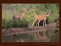 Picture Title - Three by the waterside