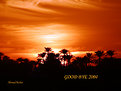 Picture Title - good bye 2004