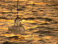 Picture Title - Hanging in golden reflection