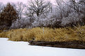 Picture Title - Crosby Lake Hoarfrost