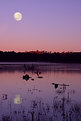 Picture Title - Moonset at Sunrise