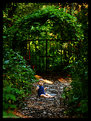 Picture Title - Sweet little boy in the woods