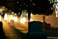 Picture Title - Cemetery Sunrise