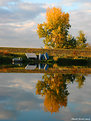 Picture Title - Reflections of Fall