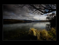 Picture Title - Lake Alexandrena