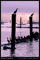 Picture Title - Sausalito Sunrise