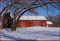 Picture Title - the oaks and the barn