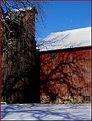 Picture Title - the oaks and the barn 2