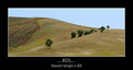 Picture Title - ...hills...