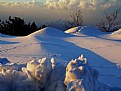 Picture Title - Snow and Shadow