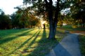 Picture Title - Long Shadows