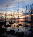 Picture Title - Balaton Sunset - Hungary