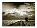 Picture Title - nameless | road -