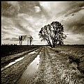 Picture Title - nameless | road -