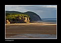 Picture Title - Low Tide Explorers