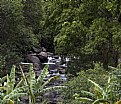 Picture Title - Ioa Valley Park, Maui