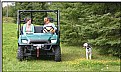 Picture Title - Old Dogs and Children and Watermelon Wine