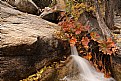 Picture Title - Tamrac Creek ...